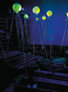 Wismut. Haut & Knochen, Detail, 1998-1999, Transportpaletten, Rundkolben, Standzylinder, Petrischalen, Glasrohre, Stopfen, Zylindergläser, Spiegelgläser, Dreifüße, Edelstahlrohre, Quecksilberdampflampen mit Fassungen und Steckern, Mehrfachsteckdosen, Diakarusselle, Wasser, Kupfersulfat, Ammoniak, Kalilauge, Wasserstoffsuperoxyd, 3-Aminophthalhydrazid, Uranin, Schweineblut, Iris, Rosen 